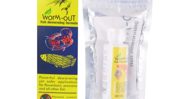 Aquatic Remedies Worm-Out Fish Deworming Formula, 60ML for Flower Horn, Discus, Arowana and All Other Fish