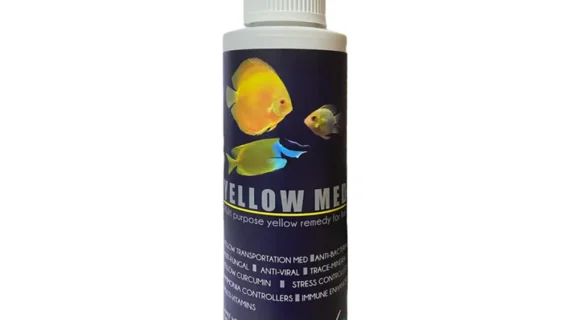 Aquatic Remedies Yellow Med, 200ml - Perfect Transportation Med