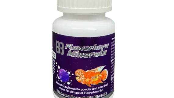 Billion Bacteria B3- Minerals | 50gm