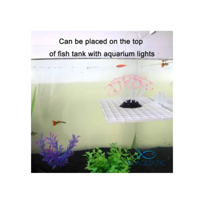 Aquarium Separator