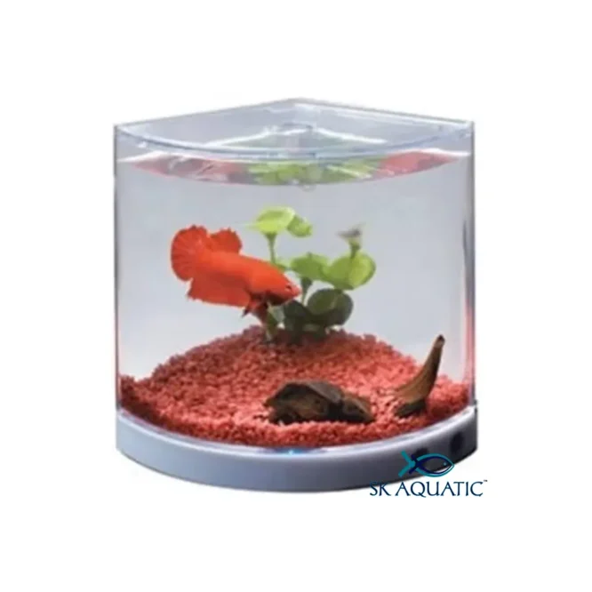 Dophin T 101 Betta Tank