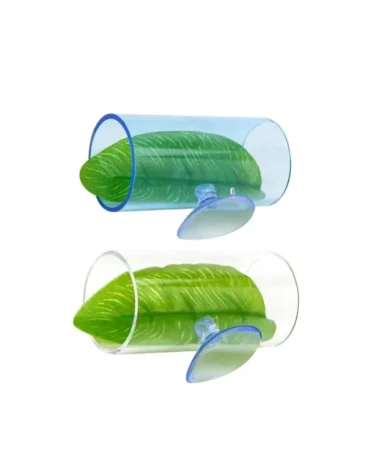 betta bed