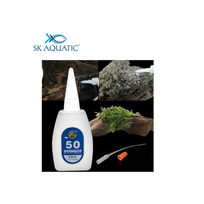 Aquarium Planted Fish Tank Aquascaping
