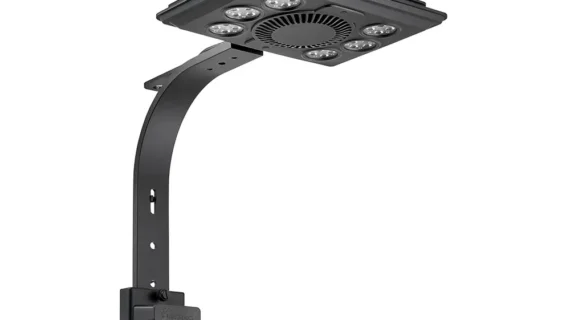 Maxspect Jump MJL 260 Marine light