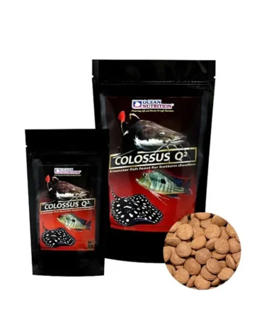 Ocean Nutrition Colossus Q2 Sinking Predator Pellets