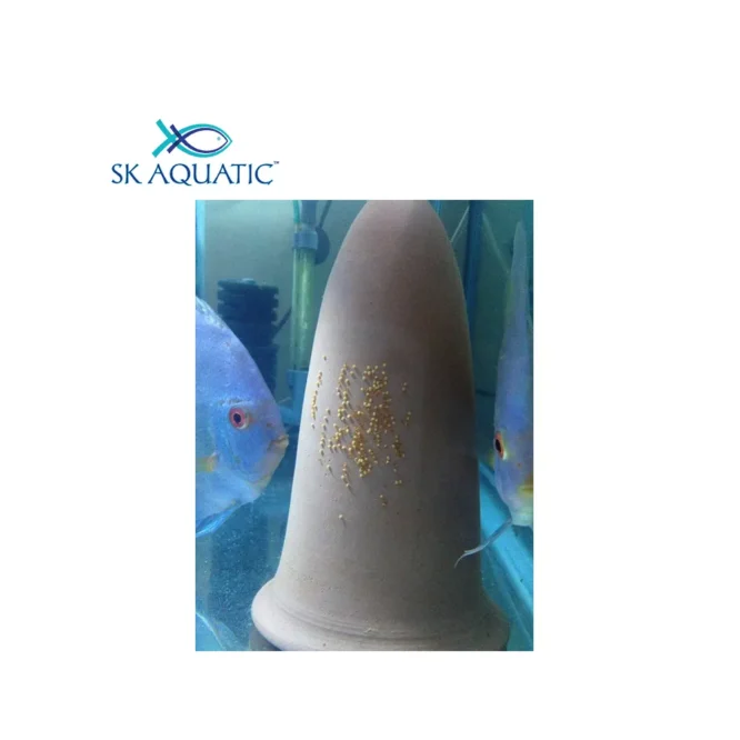 Ceramic Spawning Breeding Cone Angel Fish And Discus Fish - Image 2