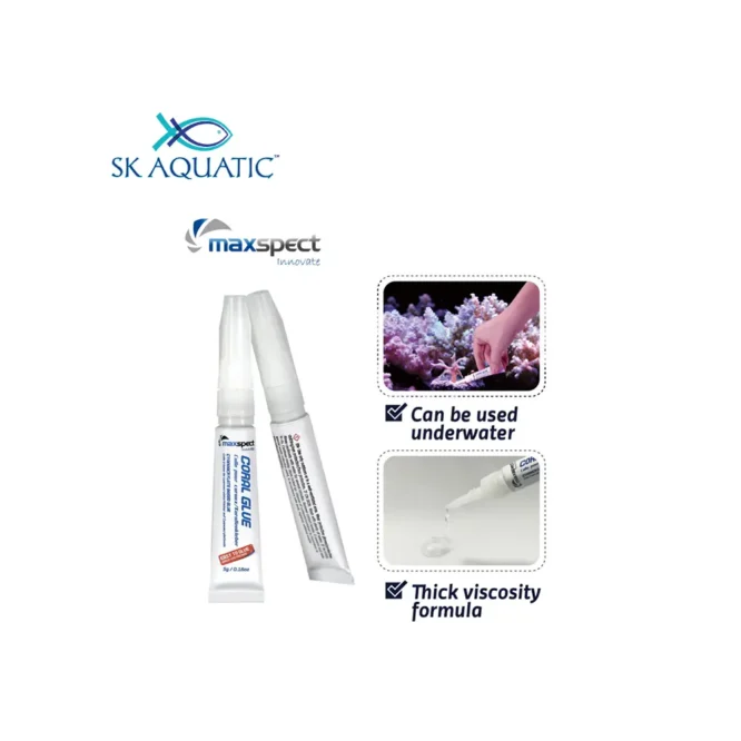 Maxspect Coral Glue - Image 2