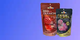 Flowerhorn Fish Food