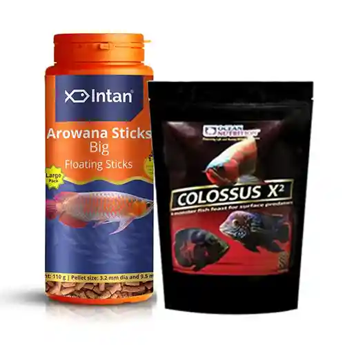 Arowana Fish Food