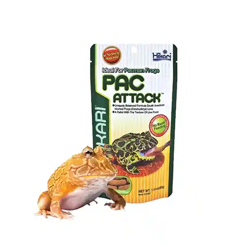 Frogs Food