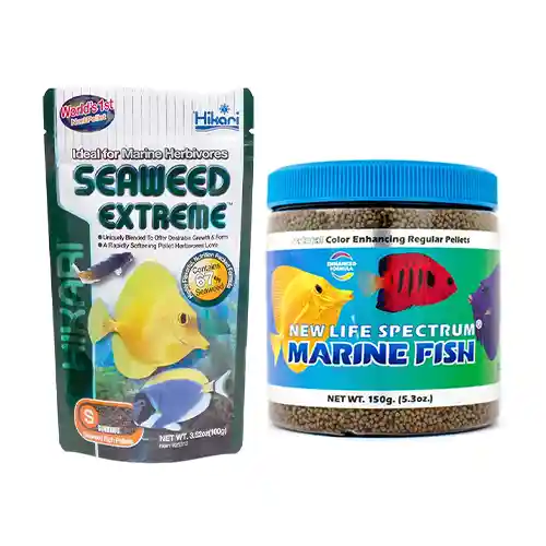 Marine Fish Foods