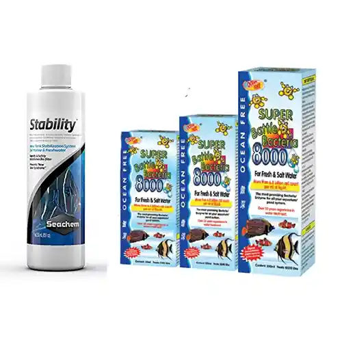 Tank Cycling & Bacteria