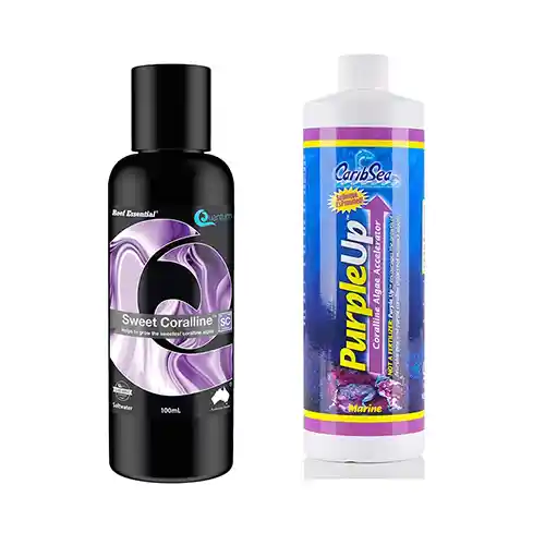 Trace Elements & Color